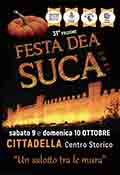 Festa dea Suca - Cittadella