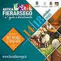 Antica Fiera di Arsego - Arsego - San Giorgio delle Pertiche