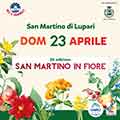 San Martino in Fiore - San Martino di Lupari