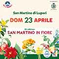 Summer Crock Fest - Borghetto - San Martino di Lupari
